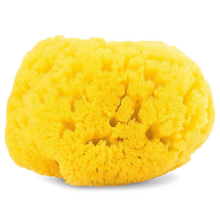 CHICCO Губка морская натуральная большая