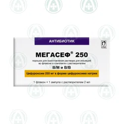 Купить МЕГАСЕФ 250 мг 2 мл №1 флакон МЕГАСЕФ 250 мг 2 мл №1 флакон